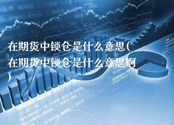 在期货中锁仓是什么意思(在期货中锁仓是什么意思啊)_https://www.gnhpgy.com_德指期货_第1张