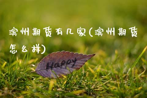 滨州期货有几家(滨州期货怎么样)_https://www.gnhpgy.com_原油期货_第1张