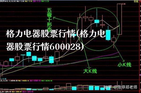 格力电器股票行情(格力电器股票行情600028)_https://www.gnhpgy.com_德指期货_第1张