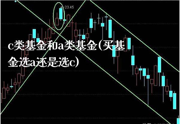 c类基金和a类基金(买基金选a还是选c)_德指期货_第1张_公牛期货直播室 c类基金和a类基金(买基金选a还是选c)_https://www.gnhpgy.com_德指期货_第1张