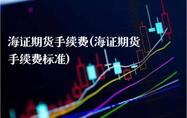 海证期货手续费(海证期货手续费标准)_https://www.gnhpgy.com_黄金期货_第1张