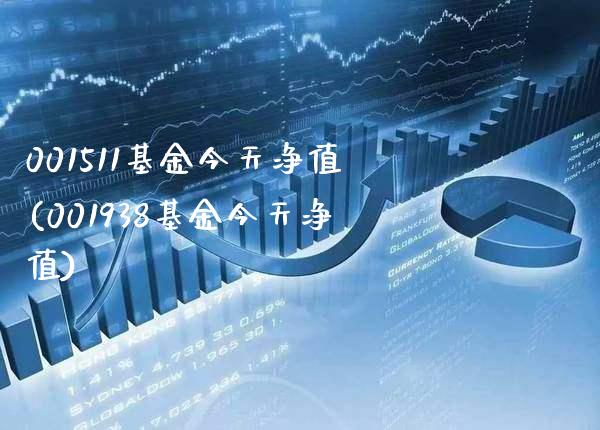 001511基金今天净值(001938基金今天净值)_https://www.gnhpgy.com_期货百科_第1张