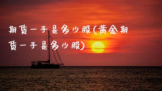 期货一手是多少股(黄金期货一手是多少股)_https://www.gnhpgy.com_恒指期货_第1张