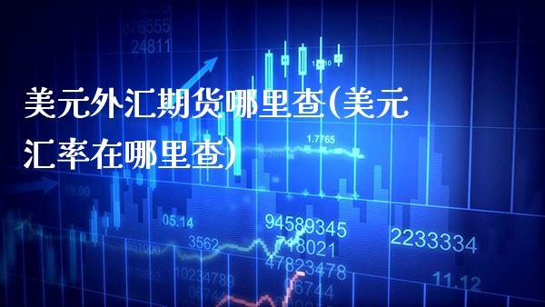 美元外汇期货哪里查(美元汇率在哪里查)_https://www.gnhpgy.com_黄金期货_第1张