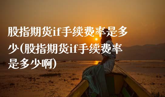 股指期货if手续费率是多少(股指期货if手续费率是多少啊)_https://www.gnhpgy.com_德指期货_第1张