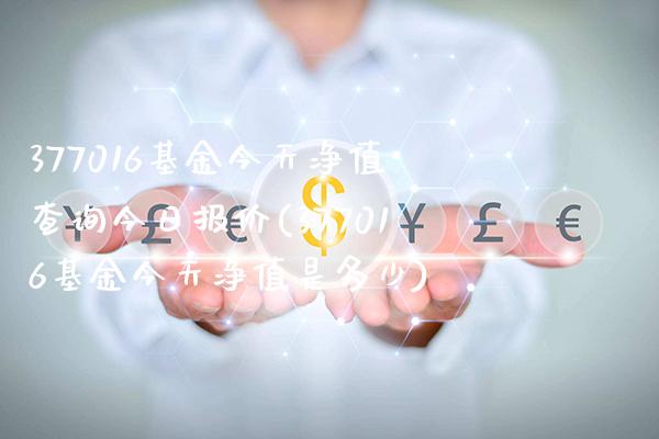 377016基金今天净值查询今日报价(377016基金今天净值是多少)_https://www.gnhpgy.com_道指期货_第1张