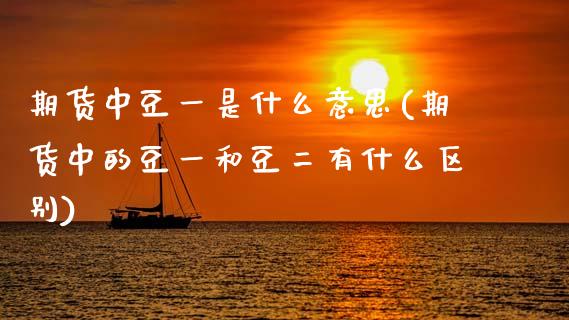 期货中豆一是什么意思(期货中的豆一和豆二有什么区别)_https://www.gnhpgy.com_原油期货_第1张