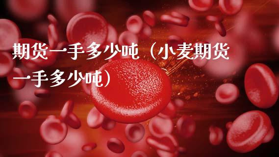 期货一手多少吨（小麦期货一手多少吨）_https://www.gnhpgy.com_道指期货_第1张