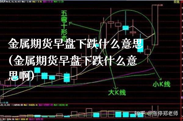金属期货早盘下跌什么意思(金属期货早盘下跌什么意思啊)_https://www.gnhpgy.com_黄金期货_第1张