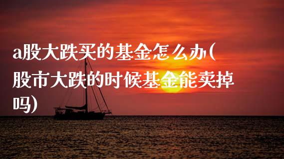 a股大跌买的基金怎么办(股市大跌的时候基金能卖掉吗)_https://www.gnhpgy.com_恒指期货_第1张