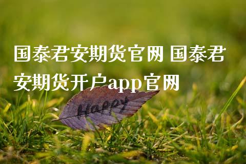 期货 期货开户app_https://www.gnhpgy.com_期货知识_第1张