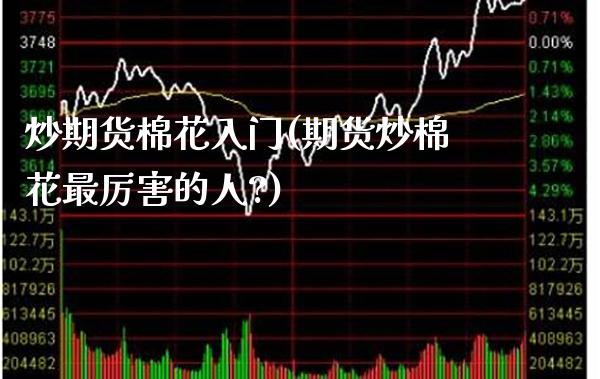 炒期货棉花入门(期货炒棉花最厉害的人?)_https://www.gnhpgy.com_期货知识_第1张