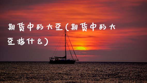 期货中的大豆(期货中的大豆指什么)_https://www.gnhpgy.com_恒指期货_第1张