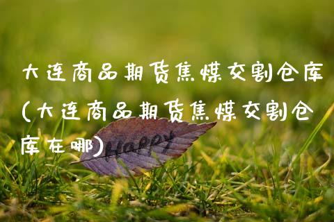 大连商品期货焦煤交割仓库(大连商品期货焦煤交割仓库在哪)_https://www.gnhpgy.com_纳指期货_第1张