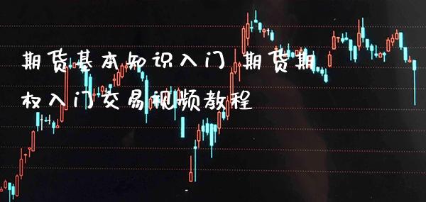 期货基本知识入门 期货期权入门交易教程_https://www.gnhpgy.com_黄金期货_第1张