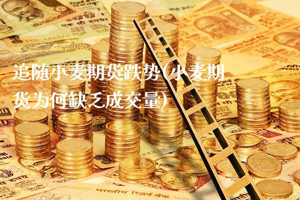 追随小麦期货跌势(小麦期货为何缺乏成交量)_https://www.gnhpgy.com_期货知识_第1张